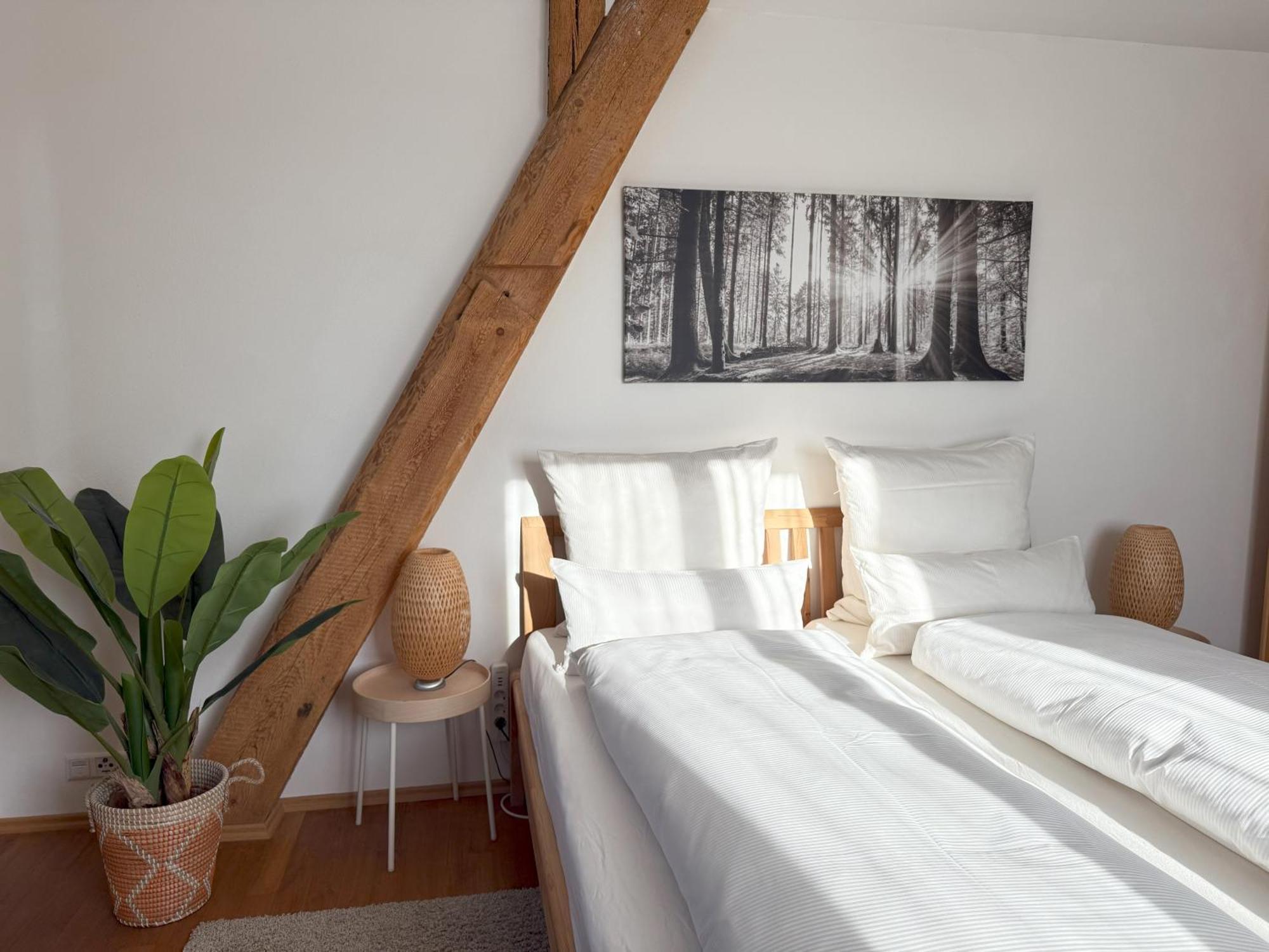 Fe Wo Brunnen - 120 Qm - Ruhige Lage - Viel Natur- Komfortabel - Grosser Balkon Und Garten Memmingen Zewnętrze zdjęcie